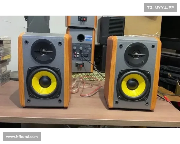 R1000TC北美版使用体验详解与优化技巧全攻略 R1000TC北美版使用体验详解与优化技巧全攻略