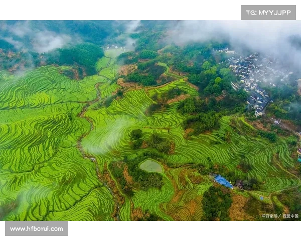 小满时节体验乡村生活的独特魅力与自然风光的最佳时机